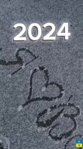   2024?.       !   ,  ,      2024